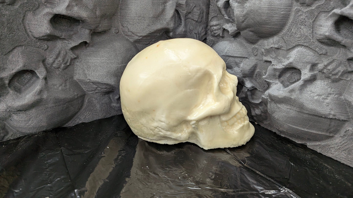 Skulls x6