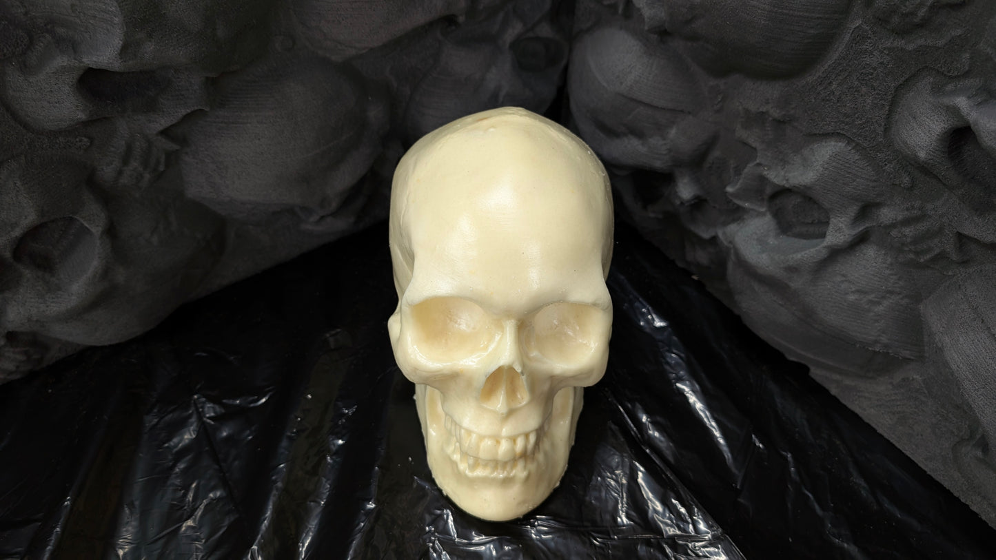 Skulls x6
