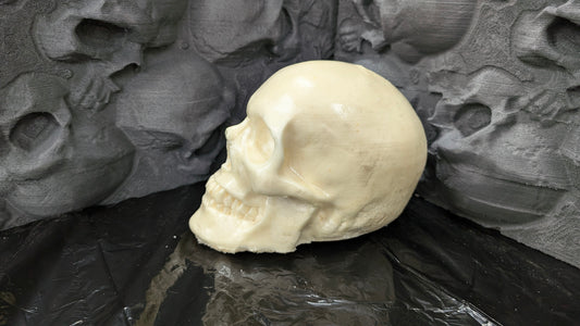 Skulls x6